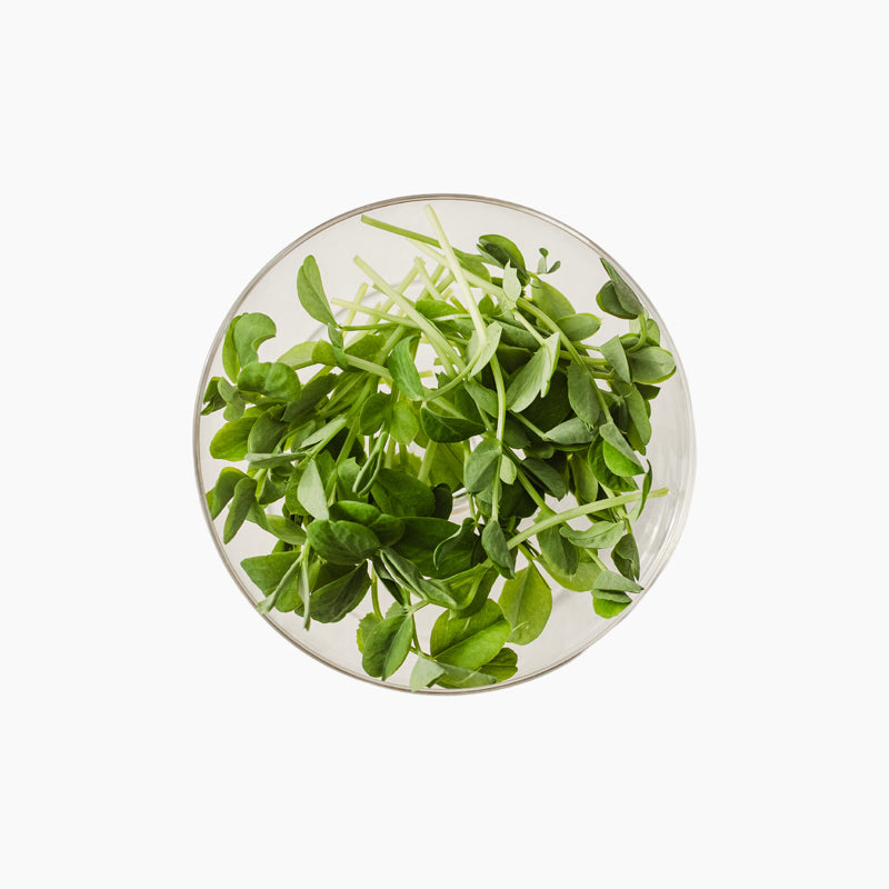 Hernes "Dunn" pisirohe, 50g