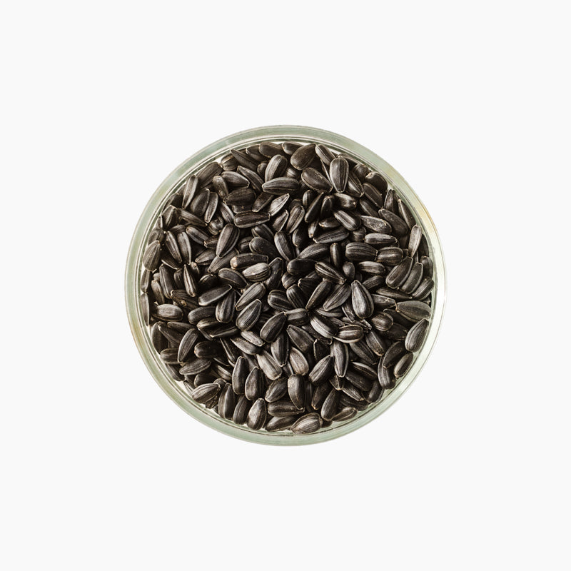Päevalill "Ucco" seemned, 50g
