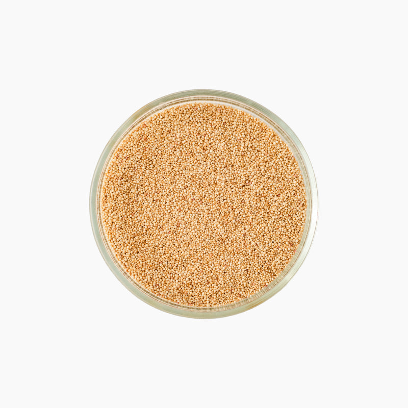 Vereva rebasheina seemned, 50g