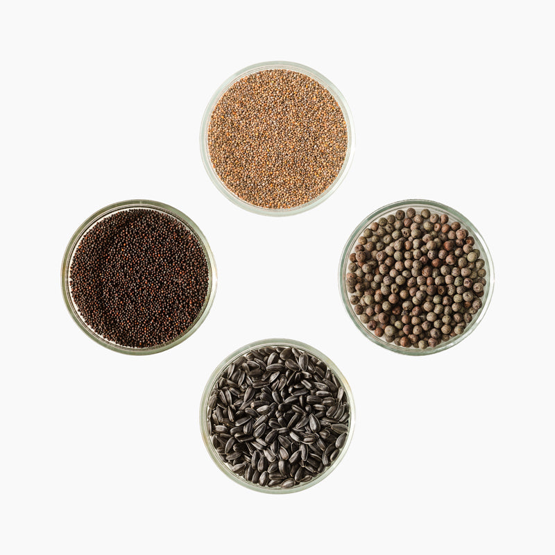 Pisirohe seemnete stardipakett "Mahedad maitsed", 4 x 10g