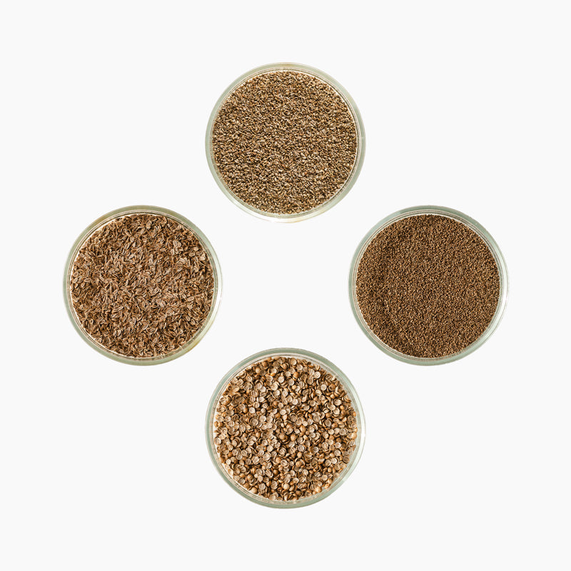 Maitsetaimede seemnete stardipakett, 4 x 10g