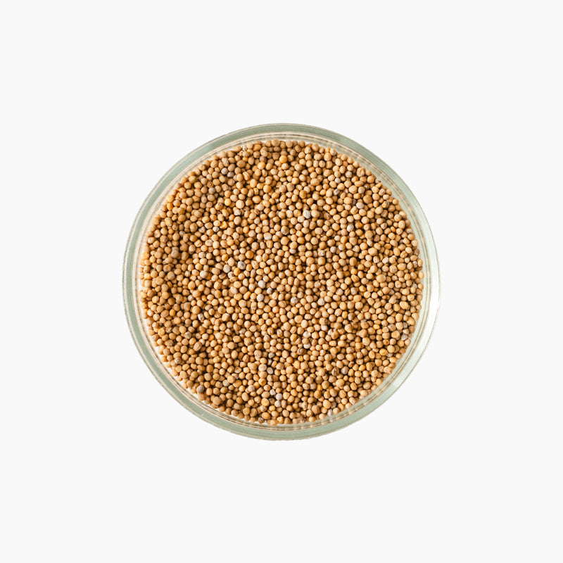 Valge sinepi seemned, 50g