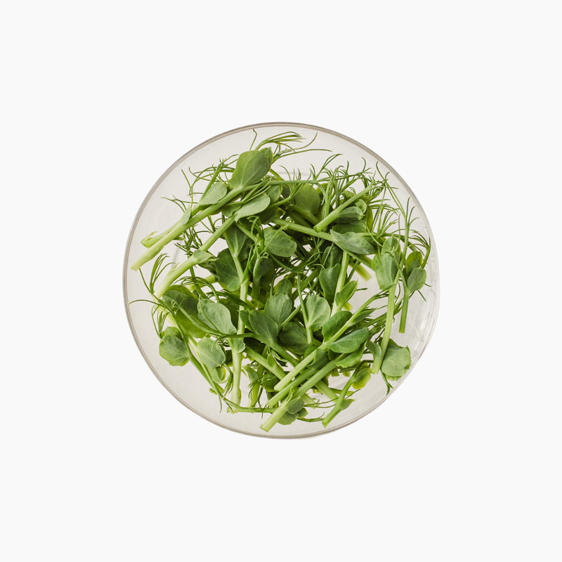 Hernes "Frilly" pisirohe, 50g