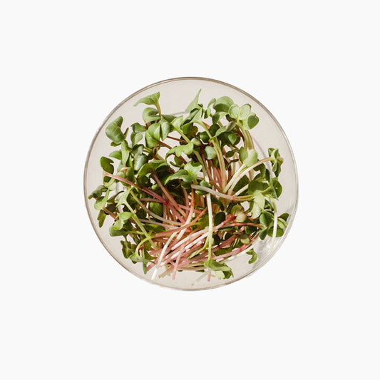 Redis "China Rose" pisirohe, 50g
