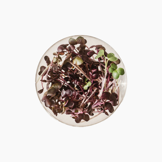 Redis "Rambo" pisirohe, 50g