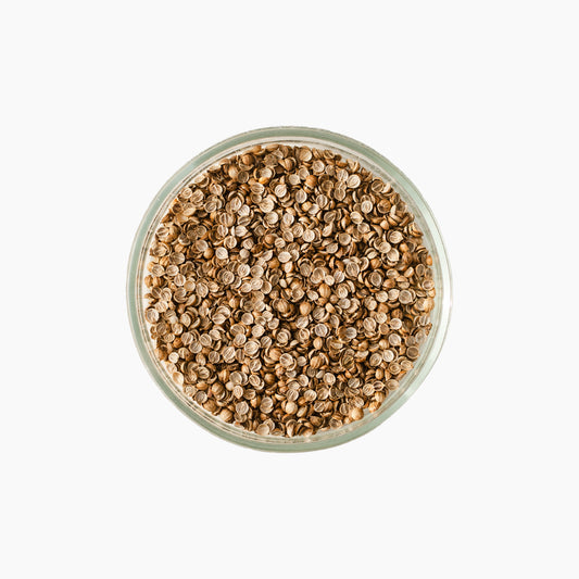 Koriandri seemned, 50g