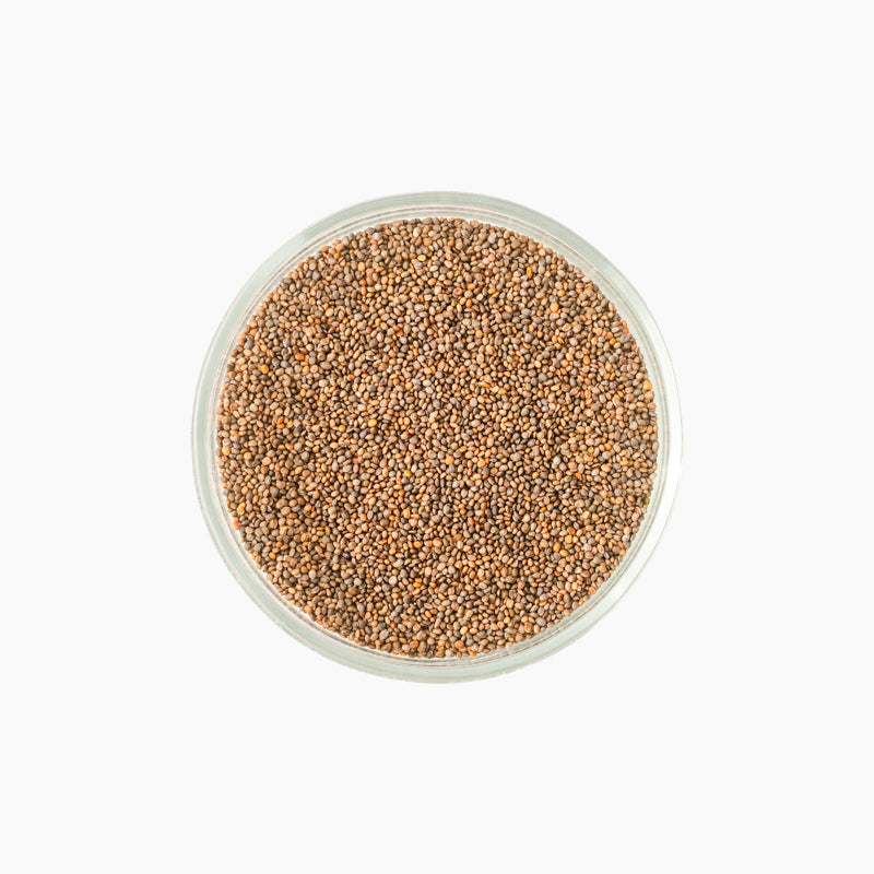 Rukola seemned, 50g