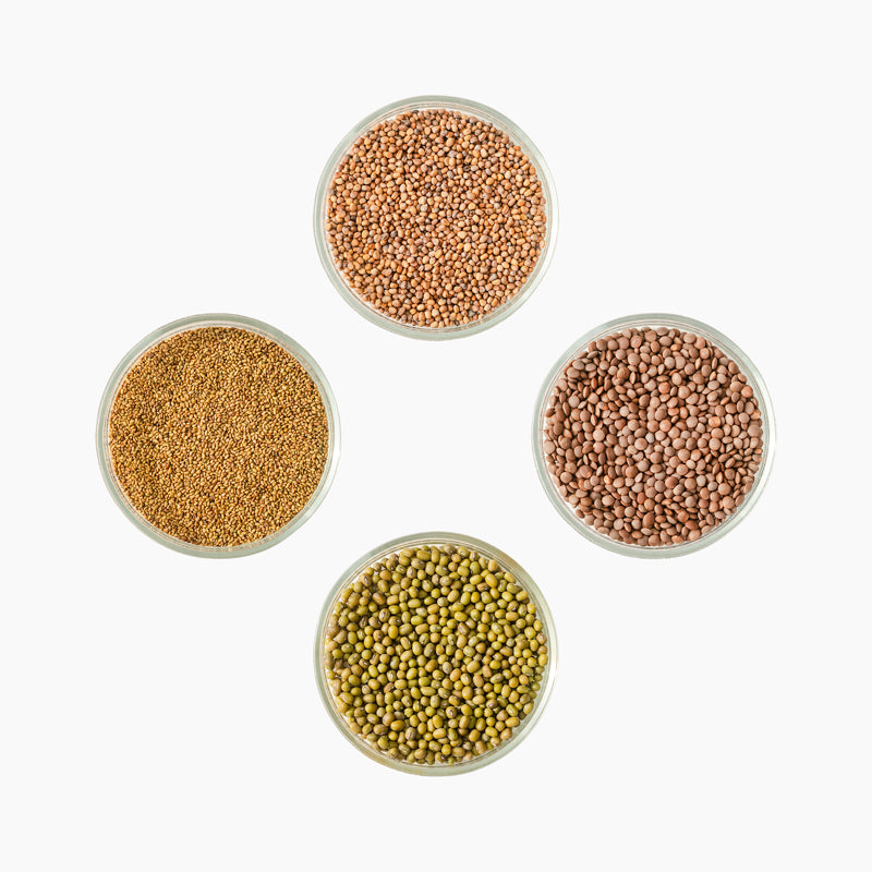 Idandamise seemnete stardipakett, 4 x 10g