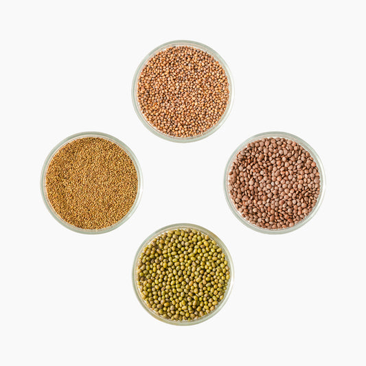 Idandamise seemnete stardipakett, 4 x 10g