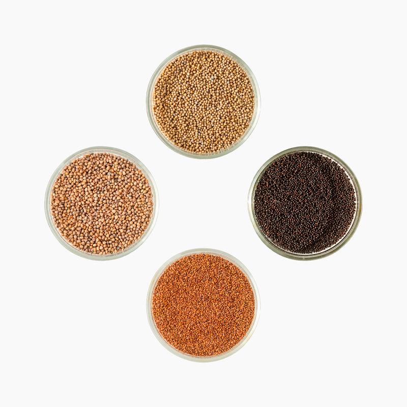 Pisirohe seemnete stardipakett "Teravad elamused", 4 x 10g